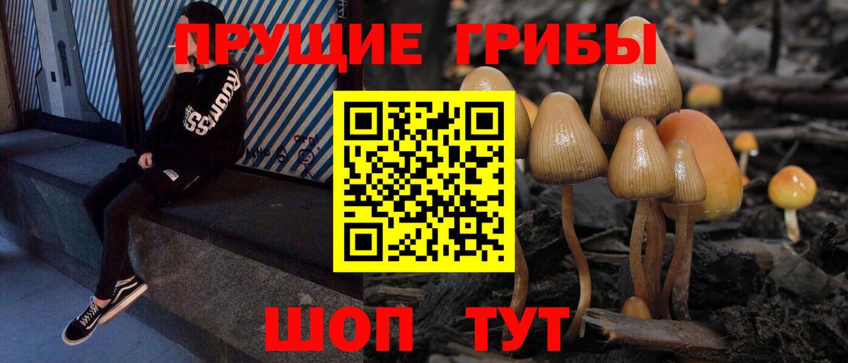 Псилоцибиновые грибы Psilocybine cubensis  Вход с VPN  Губкинский  купить наркоту  Псилоцибиновые грибы мухоморы 